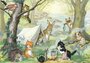 Postcard Molly Brett | A Group Of Cats Go Camping In The Woods_