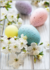 Postcard | Easter decoration with flower branch and eggs_