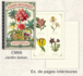 Geïllustreerd notitieboek Gwenaëlle Trolez Créations - Jardin Botanique_