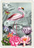 PK 404 Tausendschön Postcard | Flamingo_