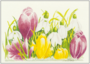 Postcard | Crocuses and snowdrops_