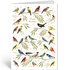 Greeting Card Quire - Happy Birthday Birds_