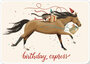 Rosi Hilyer Postcard - birthday express_