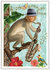 PK 1203 Tausendschön Postcard | Monkey with hat_