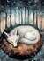 Sleepy Woodlands: Wolf | Postcard Fripperies_