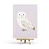 Postcard White Owl by Penpaling Paula_