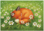 Postcard 334 by Katja Saario - Sleeping Fox_