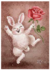 Postcard 377 by Katja Saario - Bunny with Rose_