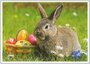 Postcard | Easter Bunny_