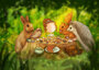 PRE ORDER: Postcard Ila Illustrations 161 - Postcrossing love_