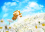Postcard Ila Illustrations 152 - Daisy_