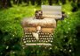 PRE ORDER: Postcard Ila Illustrations 026 - Dear B_