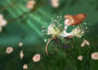 PRE ORDER: Postcard Ila Illustrations 059 - Blossom bike_