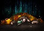 PRE ORDER: Postcard Ila Illustrations 079 - Autumn_