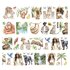 Tropical Jungle - PRE-CUT PET-tape by Penpaling Paula_