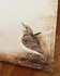 Featherlight List Notepad by Iris Esther_