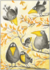Postcard | Ravens in autumn_