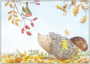 Postcard | Hedgehog and robin in autumn_