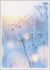 Postcard | Winter branch in sunlight_