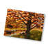 A6 Postcard from Esther Bennink - Onder de boom_