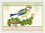 PK 194 Tausendschön Postcard - Wren king_