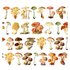 Mushrooms - PRE-CUT PET-tape by Penpaling Paula_