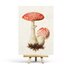 Vintage Amanita Postcard by Penpaling Paula_