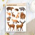 Woodland Animals - Sticker Sheet by Penpaling Paula_