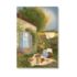 6 Single Postcards set – Abundance – The Summer Set - Nicolet Boon_