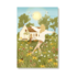6 Single Postcards set – Abundance – The Summer Set - Nicolet Boon_