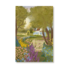 6 Single Postcards set – Abundance – The Summer Set - Nicolet Boon_