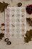 Stickersheet from Appeloogje - herfst/winter_