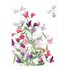 The Lemonbird Postcard | lathyrus flowers_