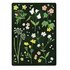 The Lemonbird Postcard | wildflowers_