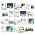 Arctic Animals - PRE-CUT PET-tape by Penpaling Paula_
