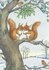 Postcard Molly Brett | Two red squirrels cosy up on a tree branch_