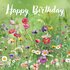 Sabina Comizzi Square Postcard | Happy Birthday (Summer Meadow)_