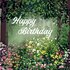 Sabina Comizzi Square Postcard | Happy Birthday (Flowers in the Forest)_