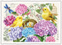 PK 1330 Tausendschön Postcard - Hydrangeas_