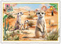 PK 1325 Tausendschön Postcard - Meerkats_