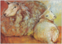 Postcard Loes Botman | Sheep and lamb, 2003_