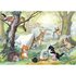 Postkarte Molly Brett | Kittens Camp_