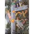 Postcard Margaret W Tarrant | The Signpost_