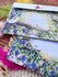 Envelope SET Berries and the sun - Romyillustrations_
