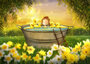PRE-ORDER Ansichtkaart Ila Illustrations 263 - Yellow_