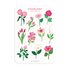 A6 Stickersheet by Muchable | Wild flowers illustration_