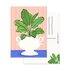 A6 Postcard by Muchable - cute plant illustration_