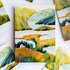Wild Pencil Studio Postcard - The Valley_