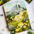 Wild Pencil Studio Postcard - Sheep_