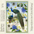 Edition Wundersam Postcard 06 - Majesties in harmony_